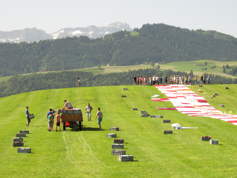 Illustration for article titled The World's Biggest Picnic Blanket Is Growing in the Swiss Countryside